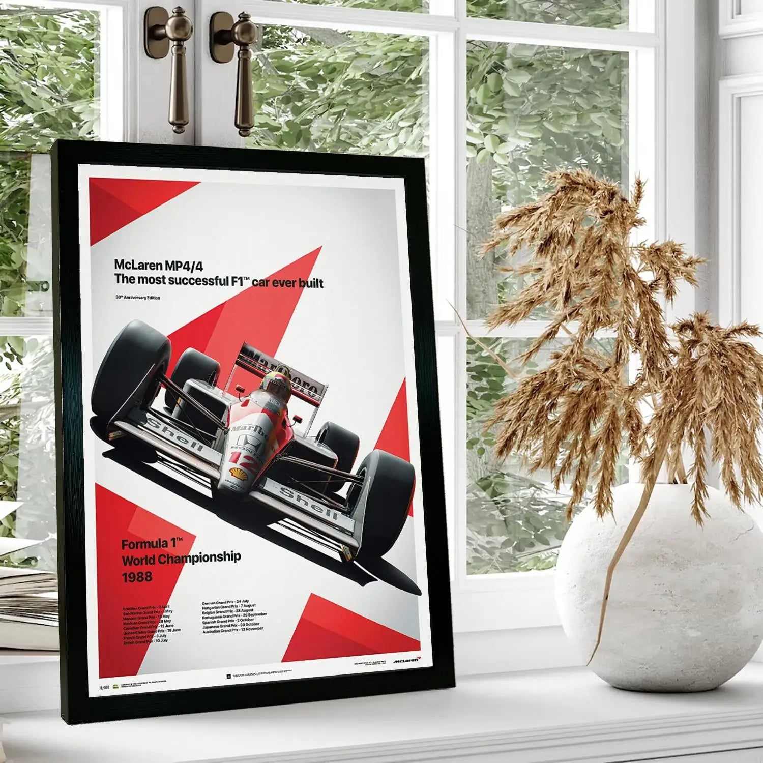 Ayrton Senna Legend Canvas Art